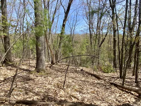 lot222 Fascination Dr, Frederic, MI 49733 photo 17