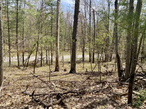 lot222 Fascination Dr, Frederic, MI 49733 photo 14