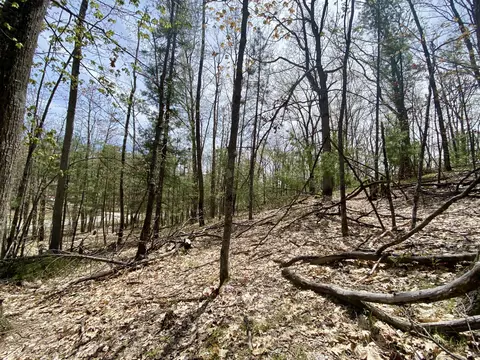 lot222 Fascination Dr, Frederic, MI 49733 photo 11