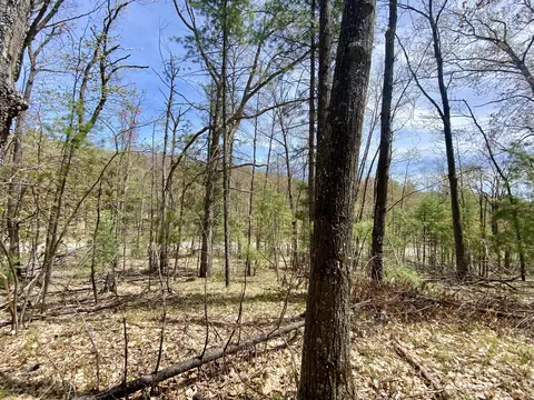 lot222 Fascination Dr, Frederic, MI 49733 photo 15
