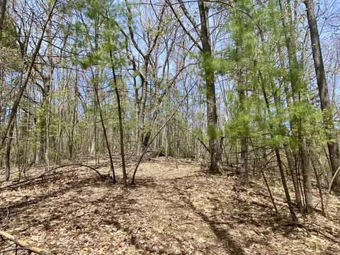 lot222 Fascination Dr, Frederic, MI 49733 photo 16
