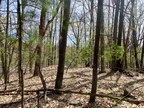 lot222 Fascination Dr, Frederic, MI 49733 photo 13