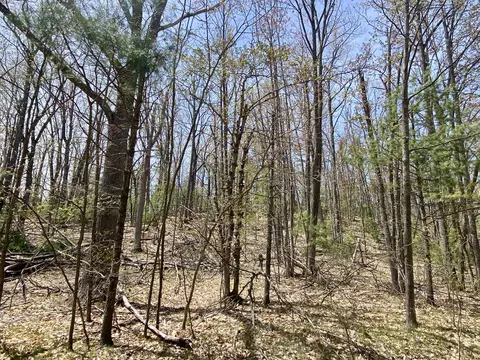 lot222 Fascination Dr, Frederic, MI 49733