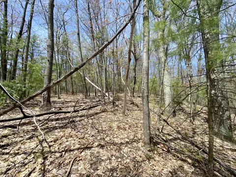 lot222 Fascination Dr, Frederic, MI 49733 photo 12