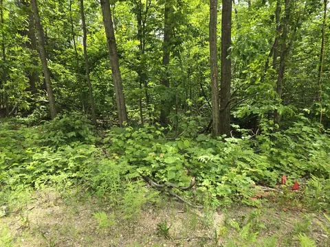 lot63 Sugarbush Dr, Gaylord, MI 49735