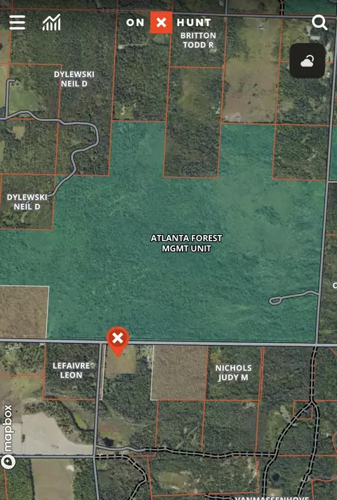 View/Area - 10845 Long Rapids Rd, Lachine, MI 49753 photo 1 of 1