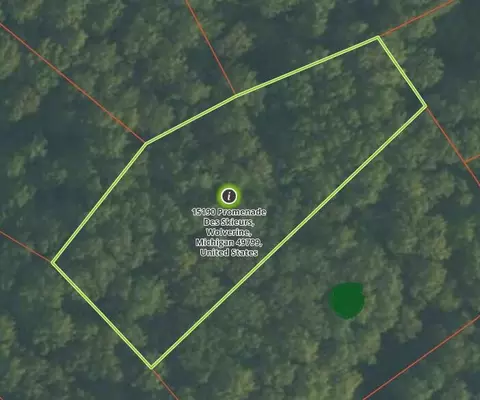 15190 Promenade Des Skieurs #LOT 40, Wolverine, MI 49799