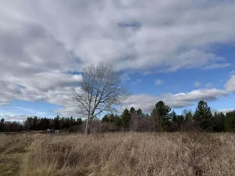 Other - 3442 S Herron Rd, Herron, MI 49744 photo 7 of 12
