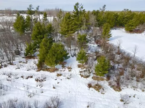 Other - 3442 S Herron Rd, Herron, MI 49744 photo 10 of 12