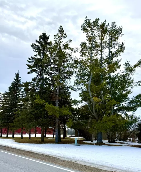 Exterior - 3442 S Herron Rd, Herron, MI 49744 photo 2 of 6