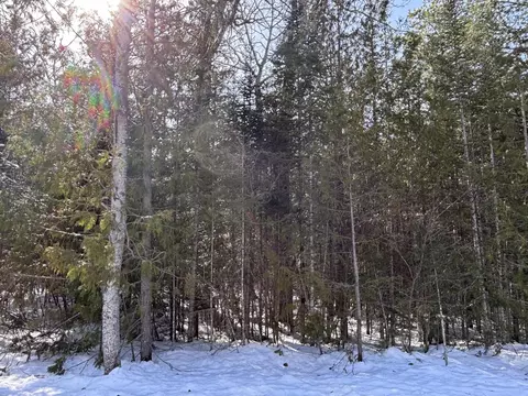 lot S 55-56 Wilderness Cir #LOT S 55 AND 56, Presque Isle, MI 49777