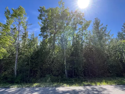 lot S 55-56 Wilderness Cir #LOT S 55 AND 56, Presque Isle, MI 49777