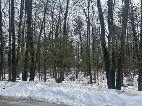 V/l Lot 15 South Ellen Drive, Harrisville, MI 48740