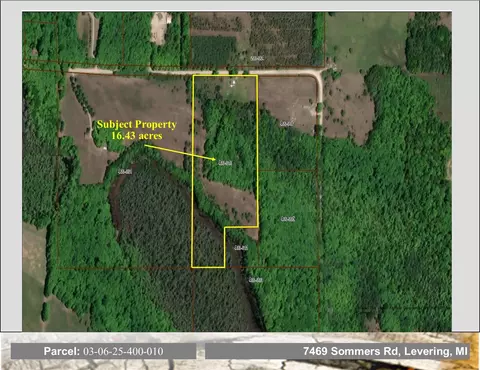 7469 Sommers Rd, Levering, MI 49755