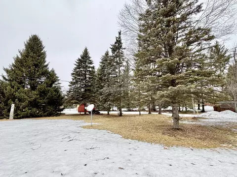Exterior - 3946 Spruce Dr, Lewiston, MI 49756 photo 6 of 7