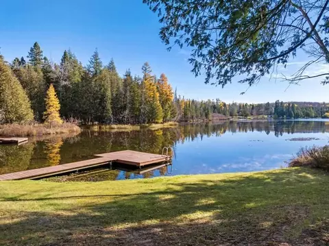 15761 Molineaux Rd, Wolverine, MI 49799 photo 28