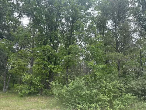 lot80 W Jackpine Loop, Mio, MI 48647