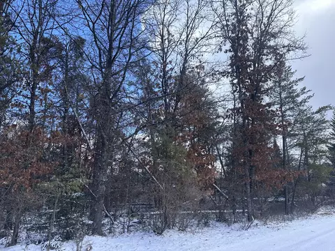 lot80 W Jackpine Loop, Mio, MI 48647