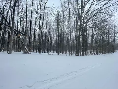 320 Whispering Pines Drive #LOT S 320-321, Mancelona, MI 49659