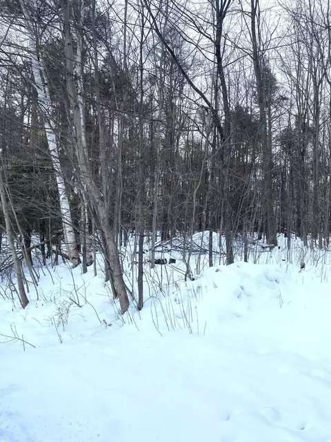 13378 Mackinaw Hwy #8 ACRES, Mackinaw City, MI 49701