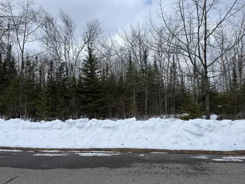 L 130-131 Laurelhill Circle #S 130-131, Presque Isle, MI 49777