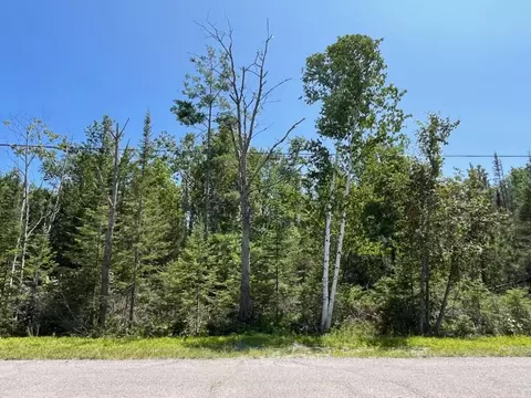 L 130-131 Laurelhill Circle #S 130-131, Presque Isle, MI 49777
