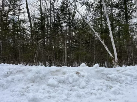 lot233 Timberway Ct, Presque Isle, MI 49777