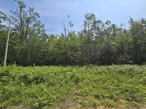 2 51 Ac Iroquois Trl #2.51 ACRES, Gaylord, MI 49735