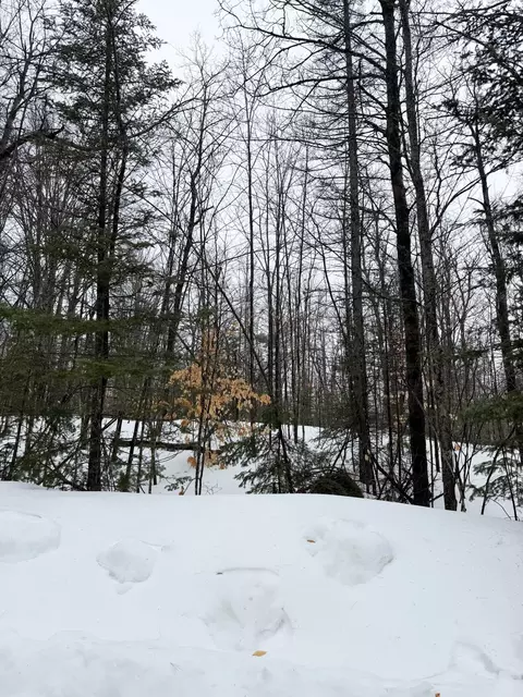 lot67 Birch Ln, Frederic, MI 49733