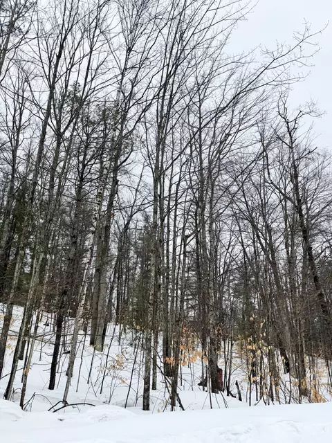 lot70 Birch Ln, Frederic, MI 49733 photo 3