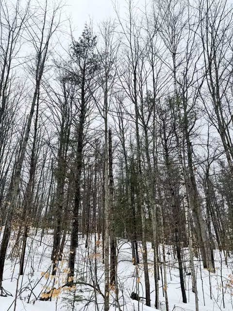 lot70 Birch Ln, Frederic, MI 49733