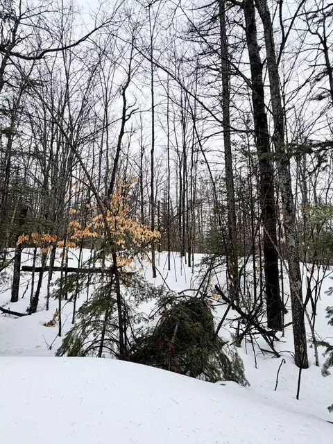 lot70 Birch Ln, Frederic, MI 49733 photo 4