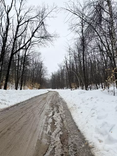 lot70 Birch Ln, Frederic, MI 49733 photo 2