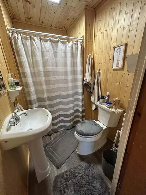 Bath - 2702 Birch Dr, Mio, MI 48647 photo 2 of 2