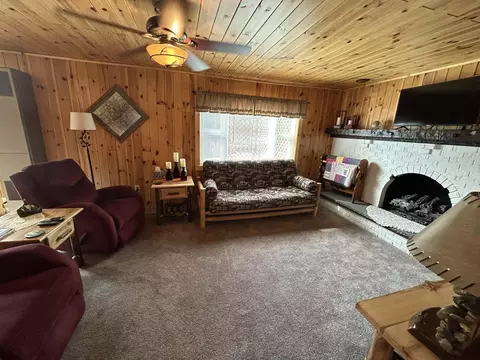 Living - 2702 Birch Dr, Mio, MI 48647 photo 3 of 4
