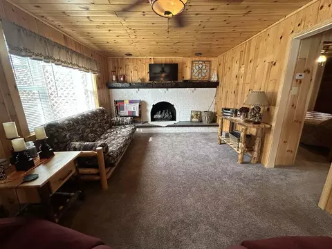 Living - 2702 Birch Dr, Mio, MI 48647 photo 2 of 4