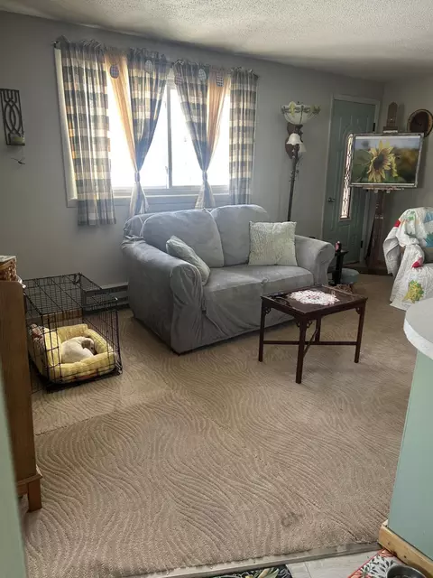 Living - 566 E Main St, Vanderbilt, MI 49795 photo 2 of 4