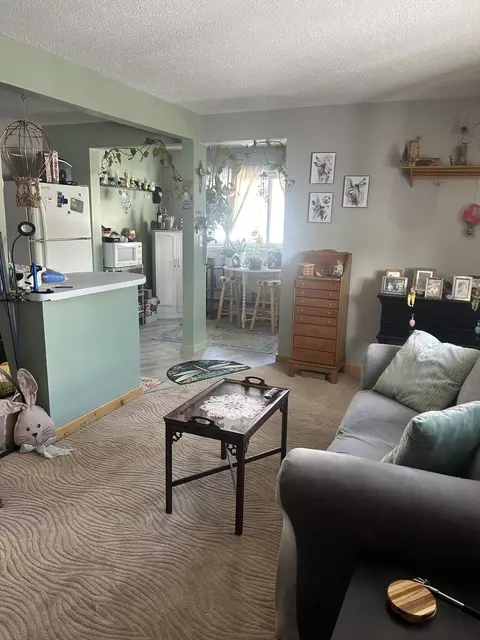 Living - 566 E Main St, Vanderbilt, MI 49795 photo 1 of 4