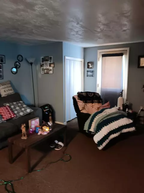 Other - 566 E Main St, Vanderbilt, MI 49795 photo 2 of 8