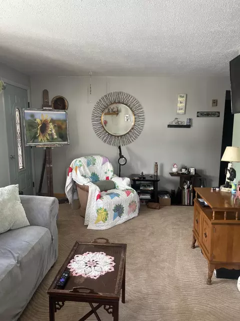 Living - 566 E Main St, Vanderbilt, MI 49795 photo 3 of 4