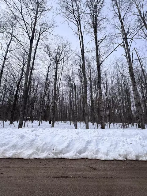 lot347 Pine Grove Dr, Elmira, MI 49730