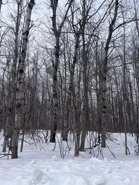 Lot 346 Pine Grove Drive #346, Elmira, MI 49730