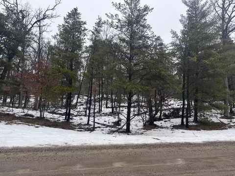lot1 Valley Rd, Rose City, MI 48654