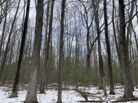 lot4 Hillsdale Dr, Roscommon, MI 48653