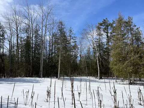 lot125 Sunaqua Dr, Presque Isle, MI 49777