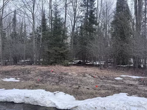 1140 1185 Trowbridge Dr, Alpena, MI 49707