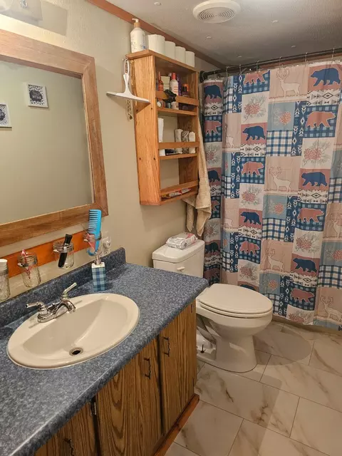 Bath - 208 Crestwood Dr, Grayling, MI 49738 photo 2 of 2