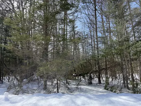 lot351 Northland Heights Dr, Presque Isle, MI 49777