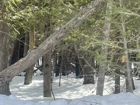 3 E 08 Ac E Huron #3.08 ACRES, Bois Blanc, MI 49775