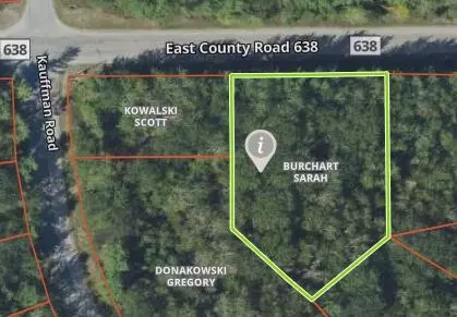 L 446-447 E County Rd 638 #S 446-447, Presque Isle, MI 49777